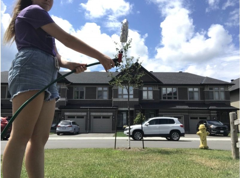 DIY Water Rockets